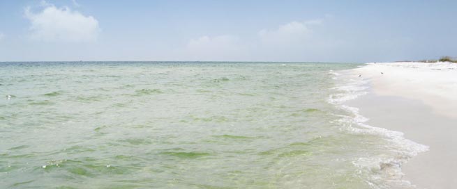 Shell Island in Panama City Beach